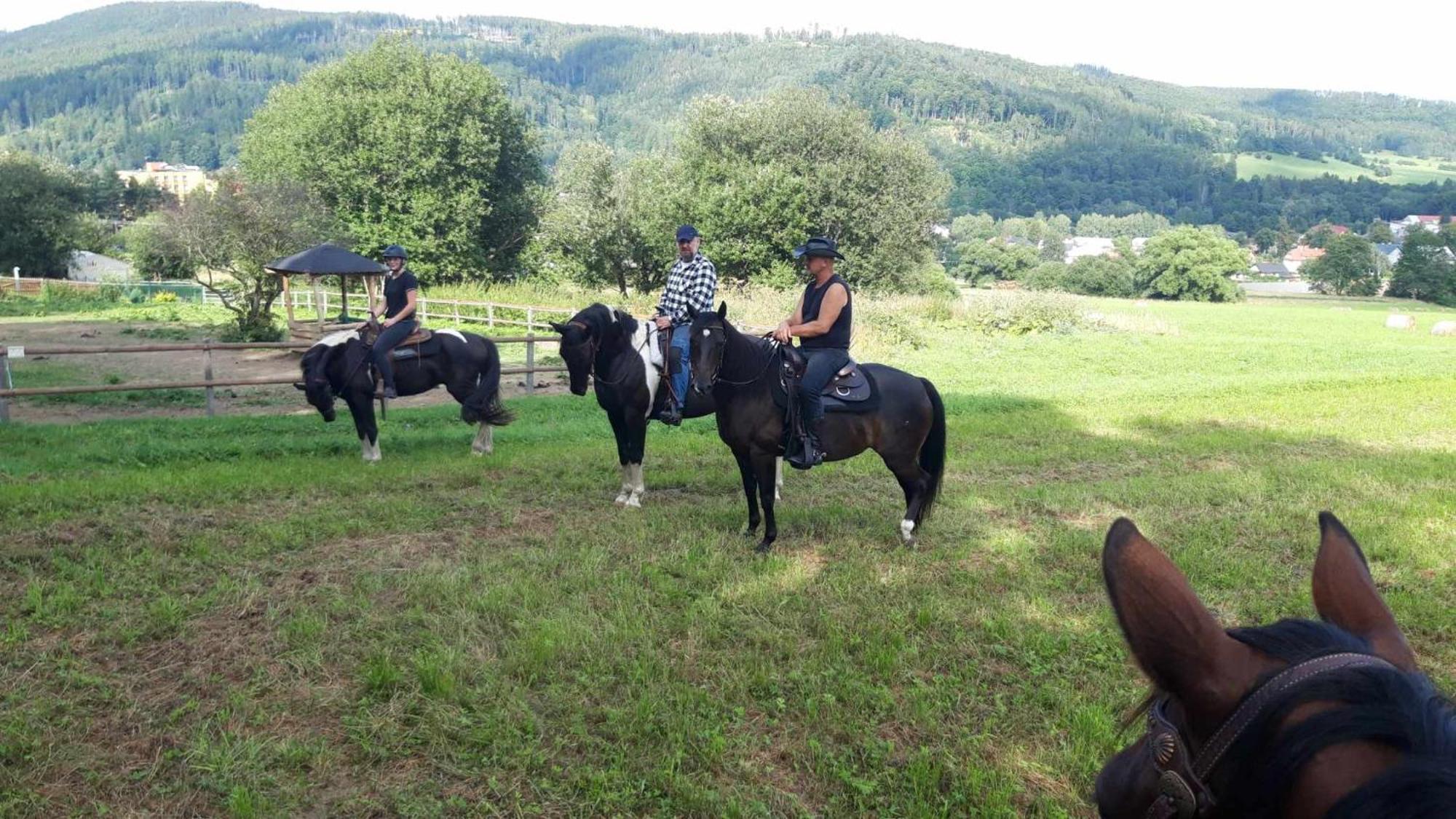 Penzion u Hradilů Vrbno pod Pradědem Esterno foto
